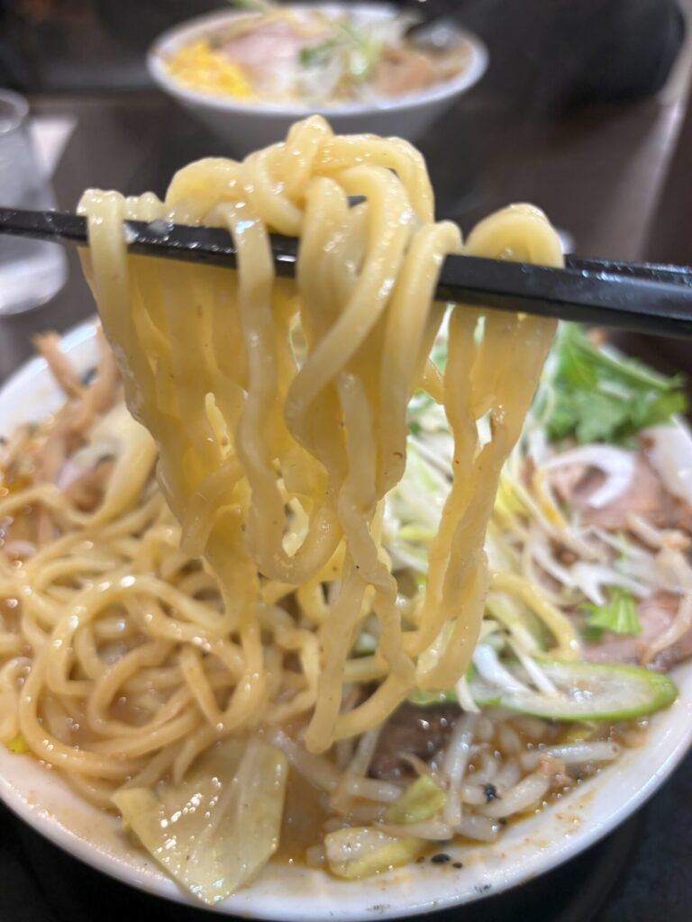 手打ち麺処 暁天のみそチャーシューの麺