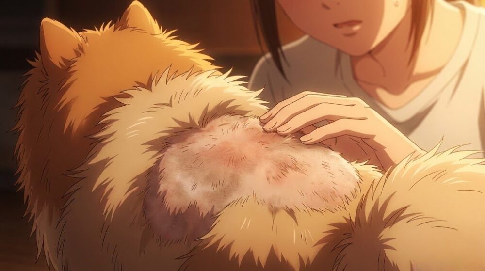 ポメラニアンのバリカンによる失敗とリスク