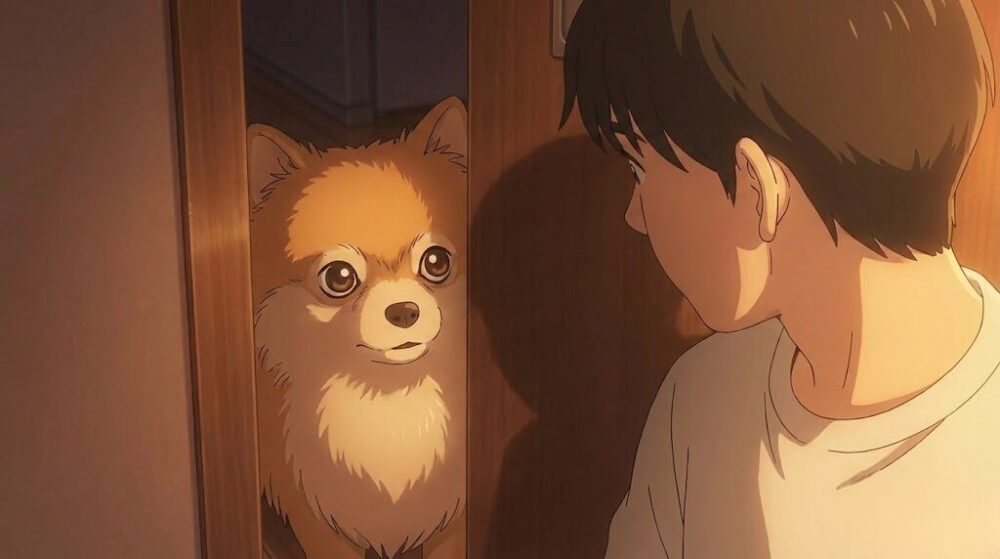 飼い主への執着がストーカー化する訳